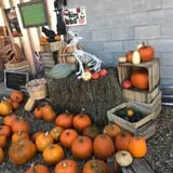 Rennie Orchards photo