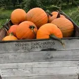 Rennie Orchards photo