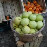 Rennie Orchards photo