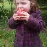 Rennie Orchards photo