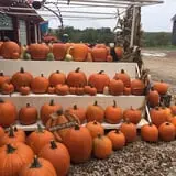 Rennie Orchards photo