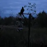 Emmons Island Haunted Trail photo