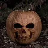 Emmons Island Haunted Trail photo