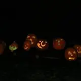 Emmons Island Haunted Trail photo