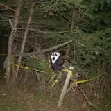 Emmons Island Haunted Trail photo