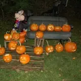 Emmons Island Haunted Trail photo