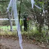 Emmons Island Haunted Trail photo