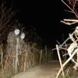 Emmons Island Haunted Trail photo