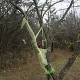 Emmons Island Haunted Trail photo