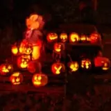 Emmons Island Haunted Trail photo