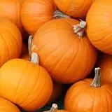 Moss Bluff United Methodist Church Pumpkin Patch photo
