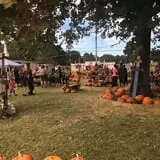 Moss Bluff United Methodist Church Pumpkin Patch photo