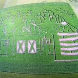 Bomke's Patch photo