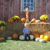 Bomke's Patch photo