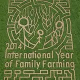 Waldoch Farm Corn Maze photo