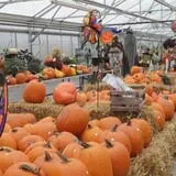 Waldoch Farm Corn Maze photo
