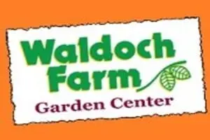 Waldoch Farm Corn Maze