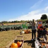 Eastmont Orchards photo