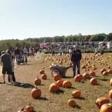Eastmont Orchards photo