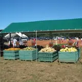 Eastmont Orchards photo