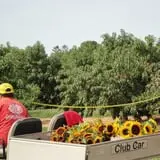 Eastmont Orchards photo