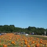 Eastmont Orchards photo