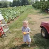 Eastmont Orchards photo