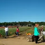 Eastmont Orchards photo