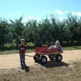 Eastmont Orchards photo