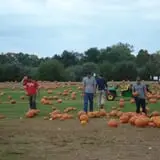 Eastmont Orchards photo