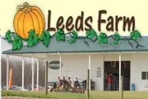 Leeds Pumpkin Farm