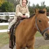 Poppy's Pumpkin Patch photo