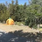 Poppy's Pumpkin Patch photo