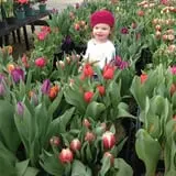 Tranquillity Farms Fall Fest photo