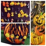 Tranquillity Farms Fall Fest photo