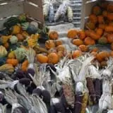 Tranquillity Farms Fall Fest photo