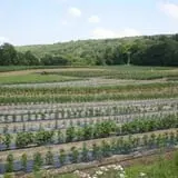 Tranquillity Farms Fall Fest photo