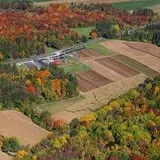 Tranquillity Farms Fall Fest photo