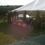 Tranquillity Farms Fall Fest photo