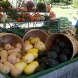 Tranquillity Farms Fall Fest photo