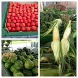Tranquillity Farms Fall Fest photo