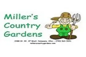 Miller's Country Gardens U-pick Pumpkins