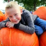 Eckert's Millstadt Farm Haunted Hayrides photo