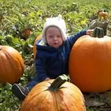 Eckert's Millstadt Farm Haunted Hayrides photo