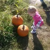 Eckert's Millstadt Farm Haunted Hayrides photo