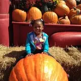 Eckert's Millstadt Farm Haunted Hayrides photo
