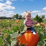 Eckert's Millstadt Farm Haunted Hayrides photo