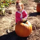 Eckert's Millstadt Farm Haunted Hayrides photo