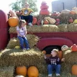 Eckert's Millstadt Farm Haunted Hayrides photo