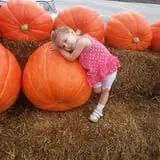 Eckert's Millstadt Farm Haunted Hayrides photo